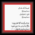shiv4a * 27.10.2007 * 237 x 575 * (5KB)