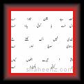 zafar * 29.10.2007 * 333 x 835 * (8KB)