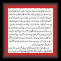 Gadha2 * 12.02.2007 * 501 x 960 * (21KB)
