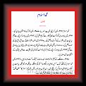 Pagal1 * 12.02.2007 * 507 x 564 * (9KB)