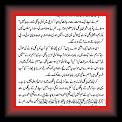 Pagal3 * 12.02.2007 * 507 x 957 * (18KB)
