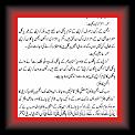 Pagal5 * 12.02.2007 * 495 x 957 * (19KB)