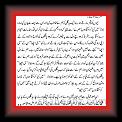 Pagal6 * 12.02.2007 * 501 x 864 * (17KB)
