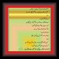 MubasharawanHosnooJamal01m * 15.04.2009 * 362 x 704 * (54KB)