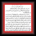Membran2 * 12.02.2007 * 501 x 906 * (17KB)