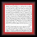Murghi2 * 12.02.2007 * 507 x 957 * (20KB)