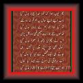 Aankhon_ka_rang_baat_ka_Amjad_Islam_Amjad_01 * 29.04.2010 * 210 x 726 * (47KB)