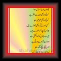 Aik_Chand_Zameen_pur_01z * 30.04.2010 * 278 x 843 * (52KB)