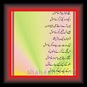 Carwaan_Nasir_Qazmi_01 * 03.07.2010 * 320 x 867 * (55KB)