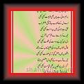 Hoti_hay_Tere_Naam_Nasir_Qazmi_01 * 03.07.2010 * 431 x 730 * (66KB)
