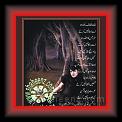 Jusee_Shfaf_Mohsin_baqvi_01 * 11.09.2009 * 431 x 519 * (48KB)