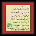 Maye_Shooq_Wasif_Ali_Wasif_01w * 09.03.2010 * 363 x 652 * (54KB)