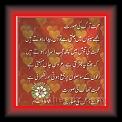 Mohabbat_Aag_ke_soorit_Amjad_Islam_Amjad_m01 * 29.04.2010 * 434 x 453 * (43KB)