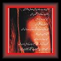 Mohabbat_Yaad_Rukti_hay_01_m_Yr * 29.05.2010 * 265 x 756 * (55KB)