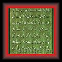 Phool_ke_rung_Amjad_Islam_Amjad_01 * 29.04.2010 * 331 x 498 * (47KB)