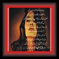 Sochte_hain_Naheed_01n * 03.05.2010 * 313 x 564 * (52KB)
