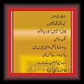 Tere_naam_samea_Syead_01t * 26.04.2010 * 285 x 772 * (45KB)